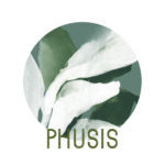 Institut Phusis